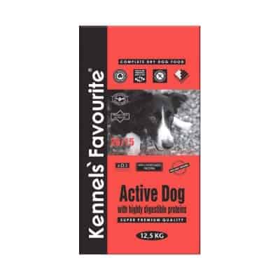 Kennels` Favourite Active Dog