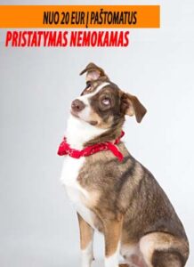 Nuo 20 eurų į paštomatus pristatymas nemokamas