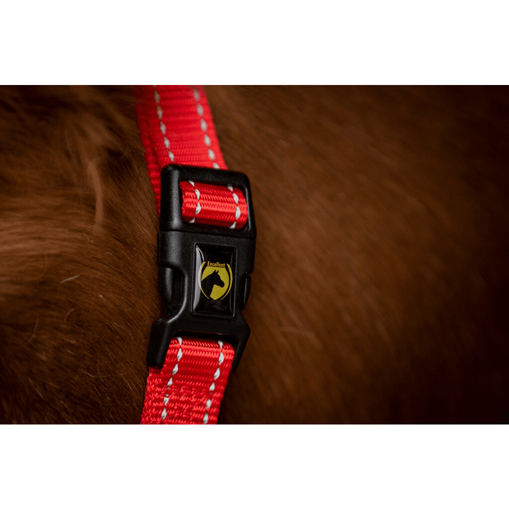 Kantaras, Excellent Supreme, kantaras kumeliukui, žirgui, poniui, raudonas